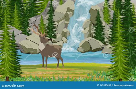 Deer On The Shore Of A Mountain Lake Waterfall Rocks And Spruce Trees