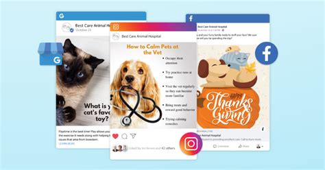 5 Ways To Master Veterinary Social Media Marketing