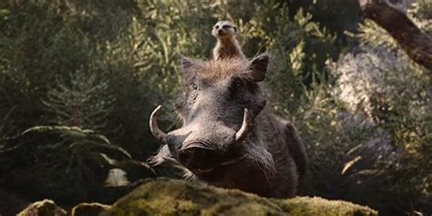 Despite Playing A Warthog Seth Rogen Thinks The Lion King Is One Of