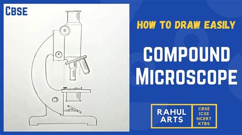 How To Draw Compound Microscope Easily Step By Step Biology Diagrams