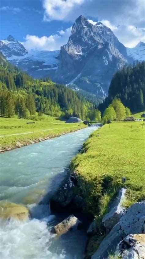 A River From Swiss Mountain Video Beautiful Nature Pictures Nature