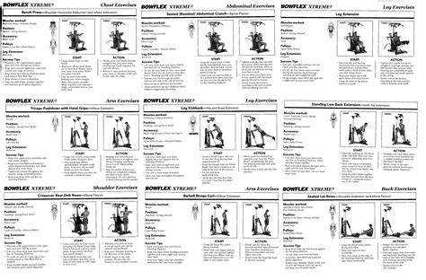 Bowflex Work Out Guide