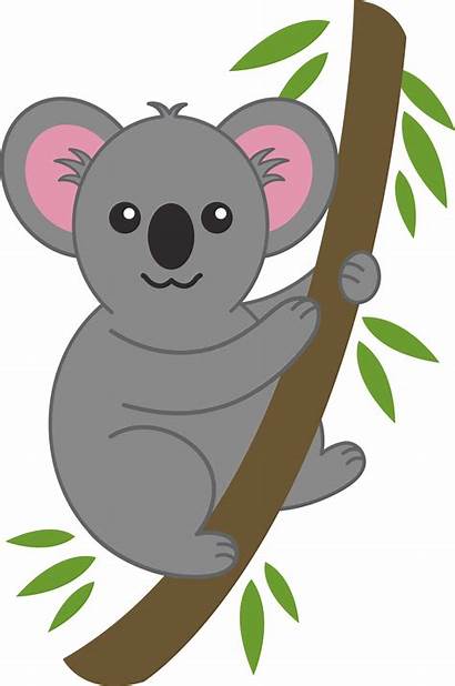 Koala Tree Clip Transparent Pluspng