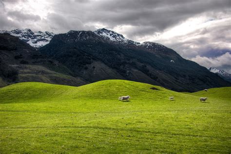 The Soft Hills On The Way To Paradise New Zealand Flickr