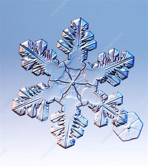 Snowflake Stock Image E1270413 Science Photo Library