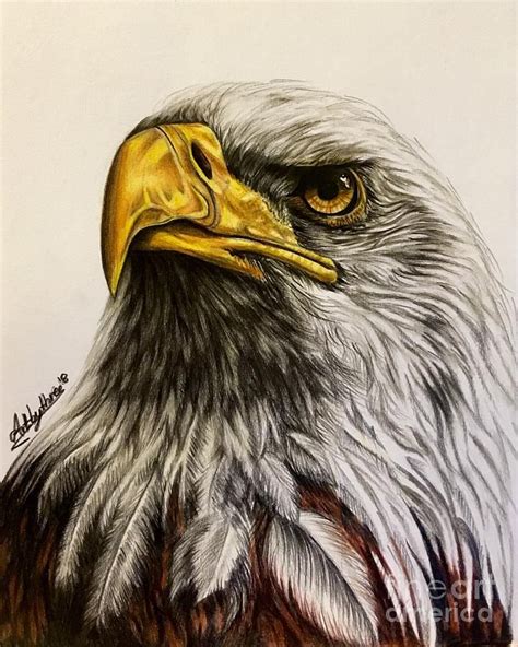 Bald Eagle By Art By Three Sarah Rebekah Rachel White Bald Eagle Art