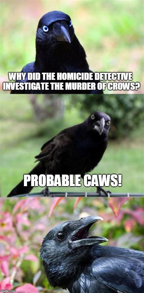 Bad Pun Crow Imgflip