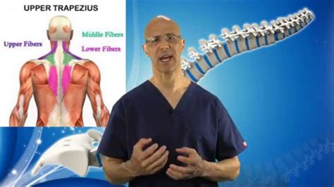 3 Part Exercise To Remove Tight Trapezius Muscle In Neck Neck Pain