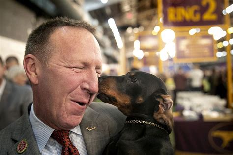 Westminster Dog Show 2020 Best in Show free live stream: How to watch 