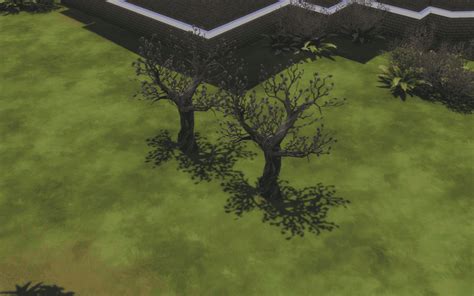 Ultimate Guide To Vampires Sims 4 Plasma Fruit Mods Edit