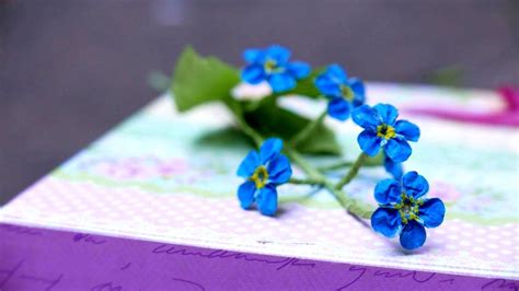 Dip a cow's tail in paint and wipe it on the wall. DIY How to make forget me not flower by crepe paper Làm ...