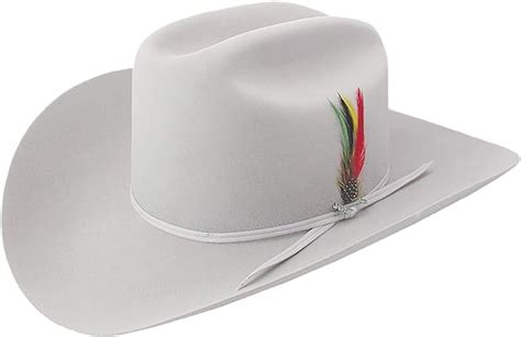 Stetson Mens 6x Silverbelly Rancher Fur Felt Cowboy Hat Sfrnch 0140