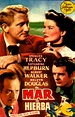 Mar de hierba - Película 1947 - SensaCine.com