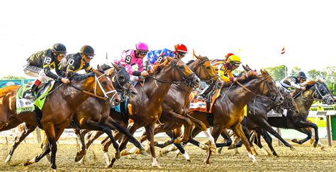 Belmont Park Entries