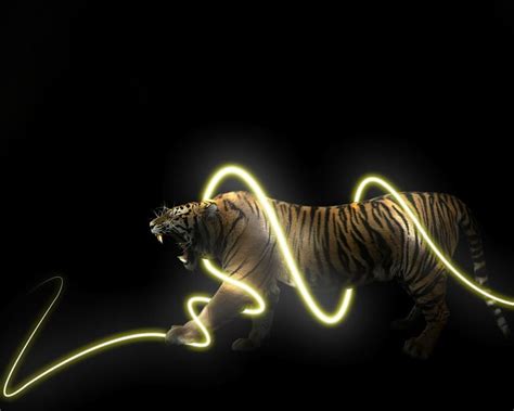 Tiger Light 3d Fantasy Tiger Hd Wallpaper Peakpx