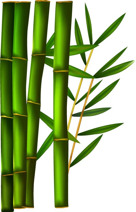 Background Bamboo Transparent In 2020 Bamboo Beautiful Wallpapers