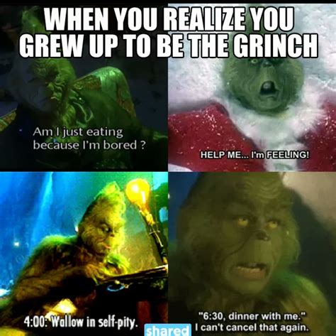 The Grinch Quotes Funny