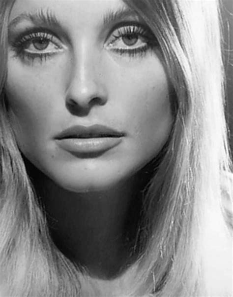 sharon 1967 sharon tate tate beauty icons