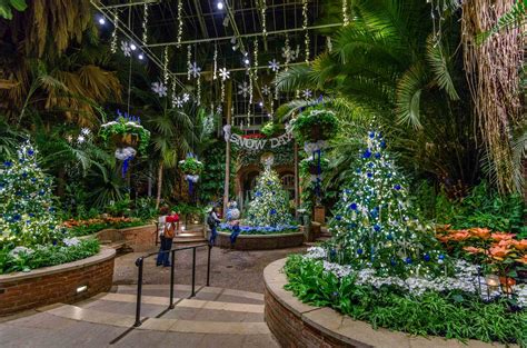 Winter Flower Show and Light Garden 2016: Days of Snow and Nights Aglow ...