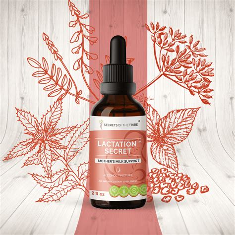 Lactation Secret Alcohol Extract Tincture Fenugreek Blessed Thistle