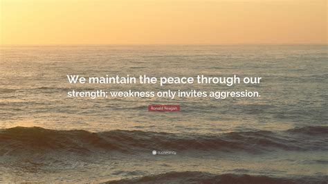 Https://wstravely.com/quote/weakness Invites Aggression Quote