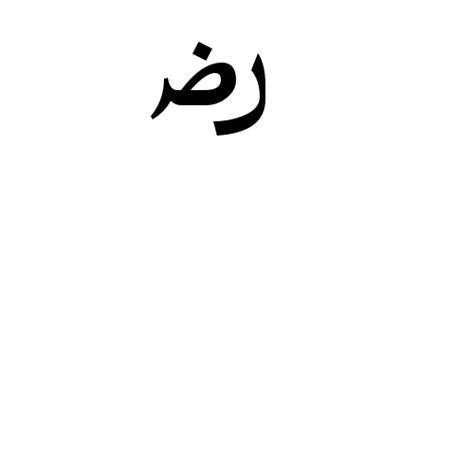 Arabic Sign Radi Allahou Anhu Times New Roman Regular Graphemica