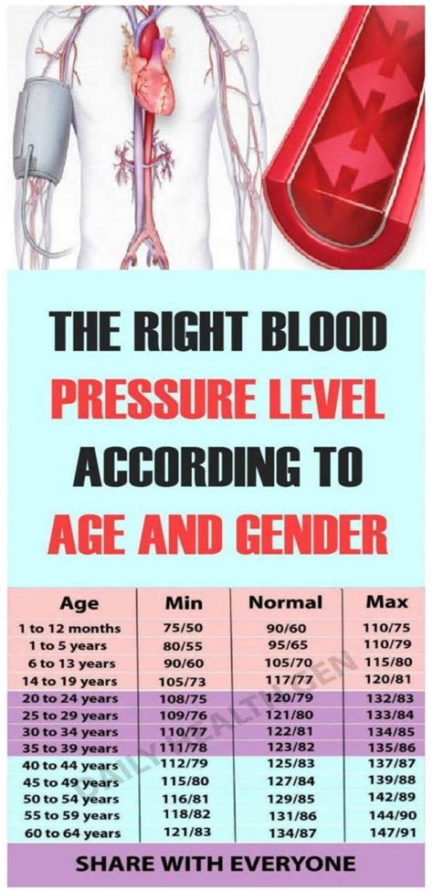 This Blood Pressure Chart Tells The Low Normal High Reading By Age