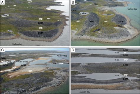 Morphological And Evolutionary Patterns Of Emerging Arctic Coastal