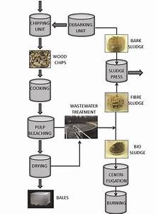Process Flow Sheet At The Pulp Mill Paper Iv Download Scientific