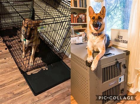 The Best Dog Crate For Shepherds Impact Dog Crates