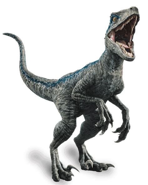 Jurassic World Fallen Kingdom Velociraptor Blue By Sonichedgehog2