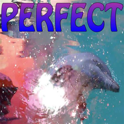 Want to surprise a friend or significant other with a special gift? Perfect (Workout Tribute to Ed Sheeran) by 2017 R Bitz on ...