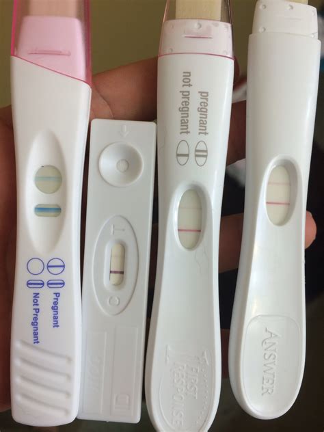 Day 29 Of Cycle Negative Pregnancy Test Pregnancywalls