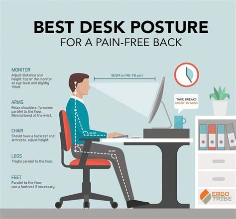 Best Desk Posture Infographic Bestcomputerchairs Kodu