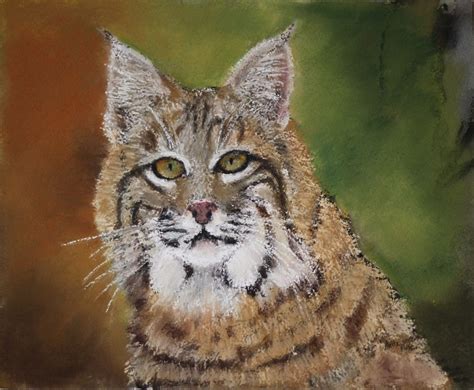 Bobcat Eyes Pastel Painting Original Art Painting
