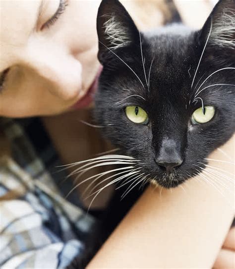 13 Reasons Why We Love Black Cats