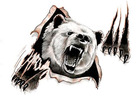 Bear Claw Drawing At Getdrawings Free Download