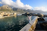 11 Cape Town Secret Sights! | The Whole World Is A Playground