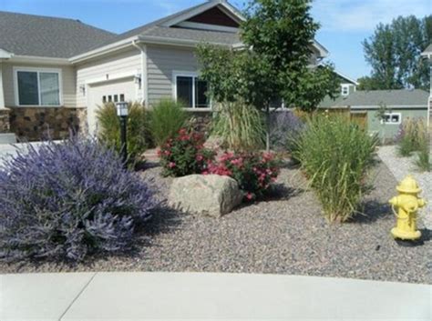 65 Best Xeriscape Landscaping Colorado Inspirations You Need To Know