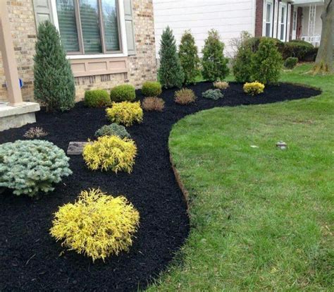 Dark Mulch Makes These Plants Really Stand Out Small Front Yard