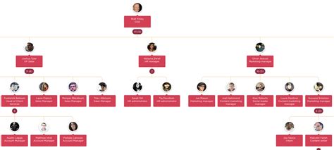 Organization Department And Employee Hierarchy Tree View Odoo