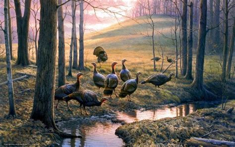 Painting Turkeys In The Woods Kalkoen Hunting Painting Turkey