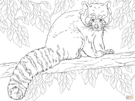 Red Panda Sitting On Branch Coloring Online Super Coloring