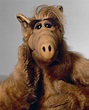 Catch Up With the Cast of 'ALF' 24 Years After the Series Ended ...