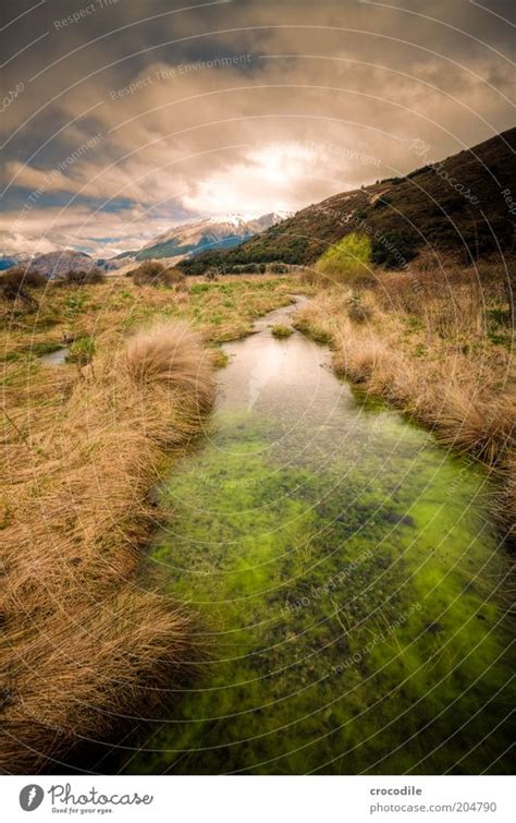 New Zealand 92 Umwelt Ein Lizenzfreies Stock Foto Von Photocase