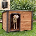 Creative and Incredible Concept of Dog House Design – HomesFeed