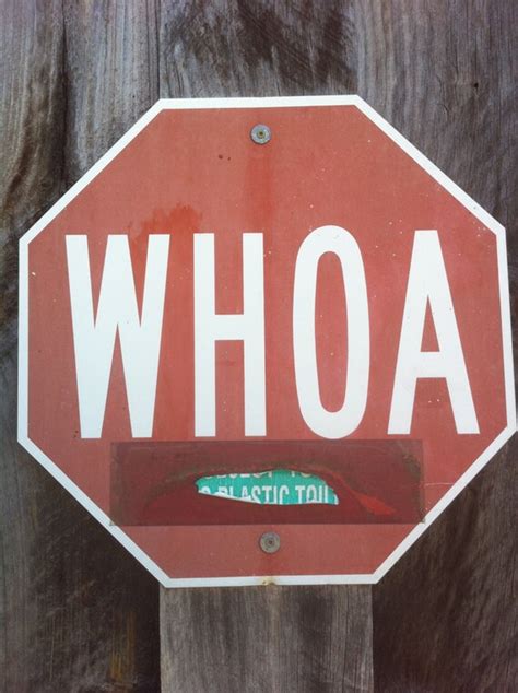 Whoa Stop Sign Holton Farm Vermont 8x10