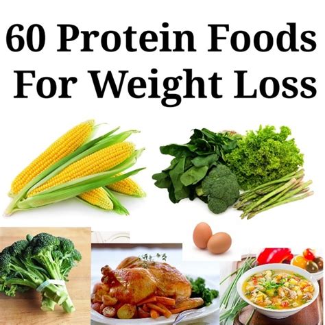 Check spelling or type a new query. What are the best high protein foods to lose weight? - Quora