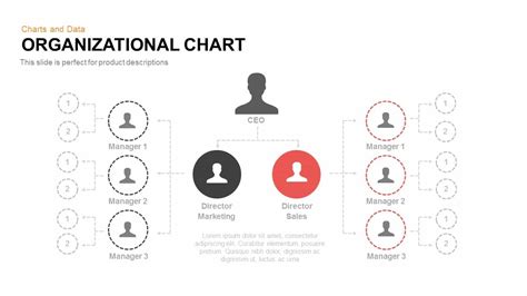 Organizational Chart Powerpoint Templates Slidebazaar