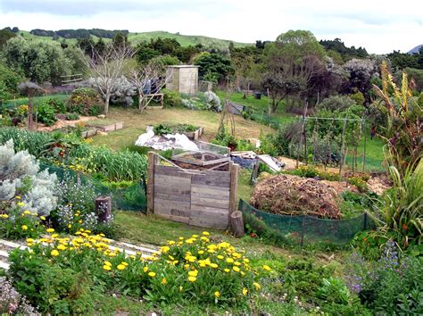 Permaculture Gardens Are So Much Better Than ‘normal